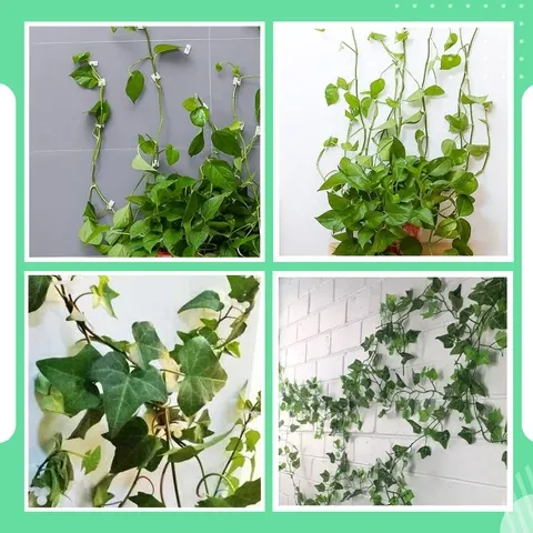 Live It Green - Flower Hanging Wall Clips (30 pcs set)